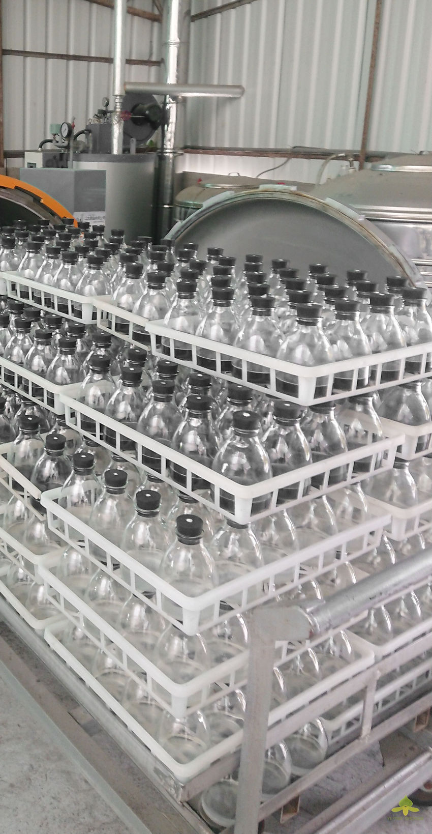 Yi-Ying Orchids laboratory